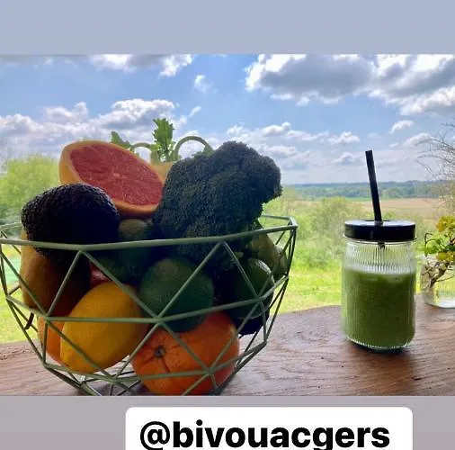 Tente Bivouac Option Bain Chauffée Au Bois