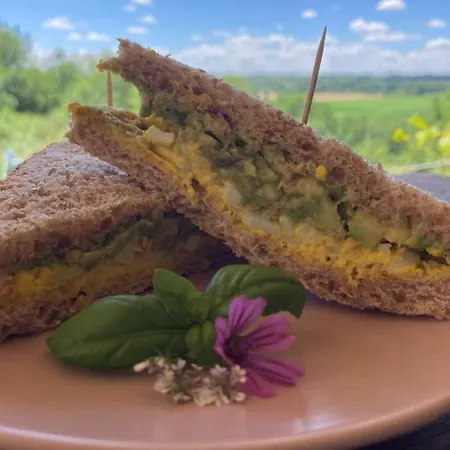 אוהל מפואר Tente Bivouac Option Bain Chauffee Au Bois *