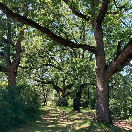 אוהל מפואר Tente Bivouac Option Bain Chauffee Au Bois *